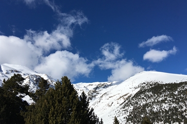 Image category
