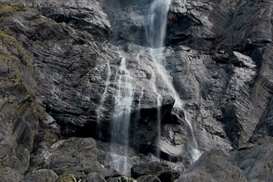 Image category