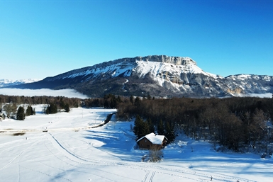Image category