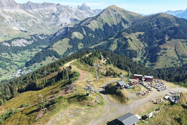 Image category