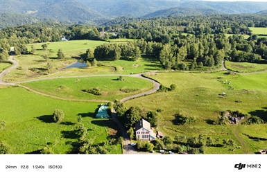 Image category
