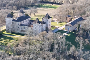 Image category