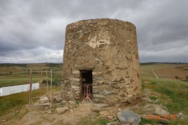 Image category