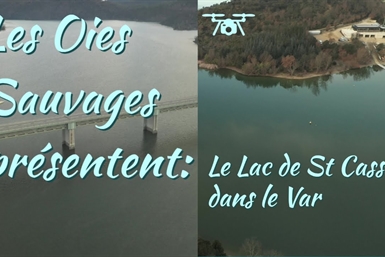 Image category