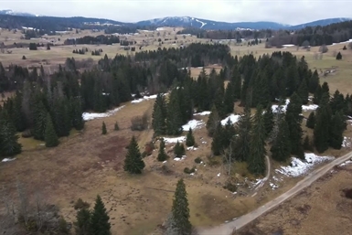 Image category