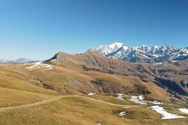 Image category