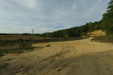 Image category