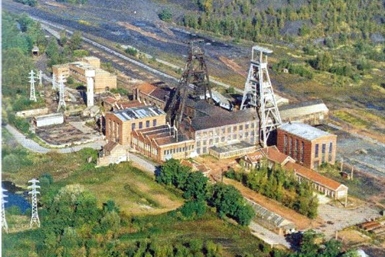 Image category