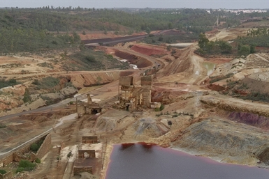 Image category