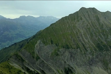 Image category