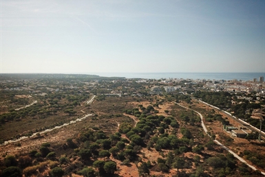 Image category