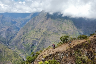 Image category