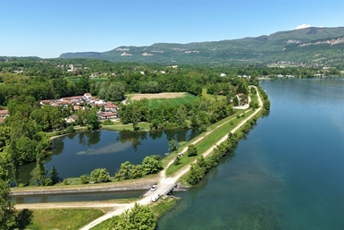 Image category