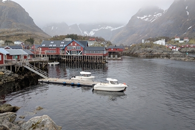 Image category