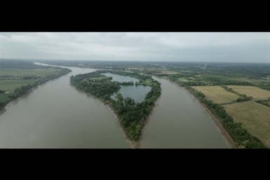 Image category