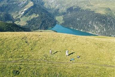 Image category