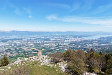 Image category