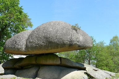 Image category