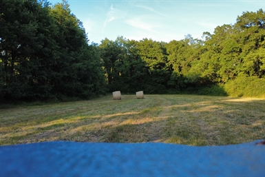 Image category