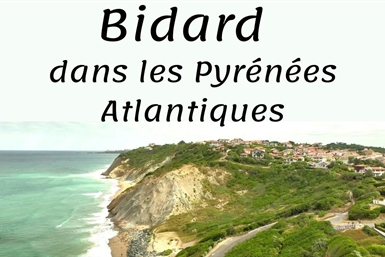 Image category