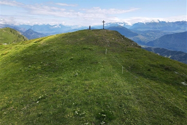 Image category