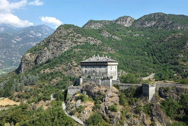 Image category