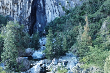 Image category