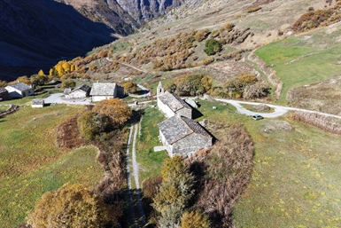 Image category
