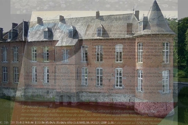 Image category