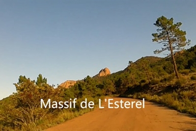 Image category