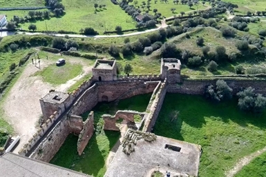 Image category