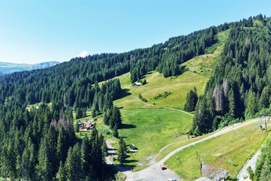 Image category