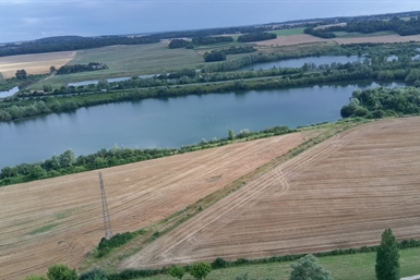 Image category