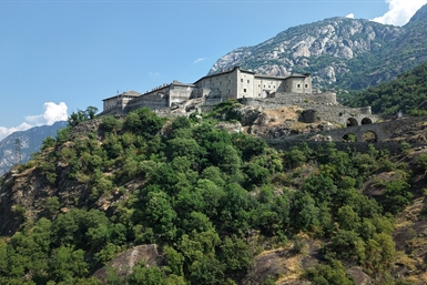 Image category